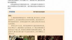 苏教版高一生物必修2（遗传与进化）电子课本第一节 生物进化理论的发展(第97页)