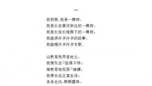 苏教版八年级语文下册电子课本,苏教版初二语文下册电子课本二十四 *我骄傲，我是一棵树(第197页)