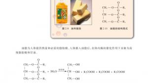 苏教版高二化学与生活电子课本第二单元 提供能量与营养的食物(第52页)