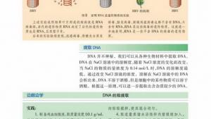 苏教版高一生物必修2（遗传与进化）电子课本提取DNA(第56页)