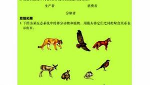 苏教版八年级生物下册(旧版)电子课本-苏教版初二生物下册(旧版)电子课本第一节 生态系统的组成(第89页)