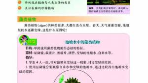 苏教版八年级生物下册(旧版)电子课本-苏教版初二生物下册(旧版)电子课本第二节 五彩缤纷的植物世界(第25页)