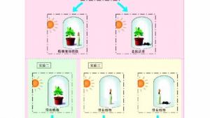 苏教版七年级生物上册(旧版)电子课本-苏教版初一生物上册(旧版)电子课本第一节 植物光合作用的发现(第79页)