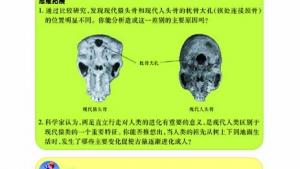 苏教版八年级生物下册(旧版)电子课本-苏教版初二生物下册(旧版)电子课本第四节 人类的起源和进化(第82页)