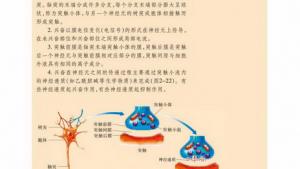 苏教版高二生物必修3（稳定与环境）电子课本第二节 人体生命活动的调节(第29页)