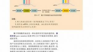 苏教版高一生物必修2（遗传与进化）电子课本第四节 基因突变和基因重组(第77页)