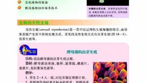 苏教版八年级生物上册(旧版)电子课本-苏教版初二生物上册(旧版)电子课本第一节 生物的无性生殖(第3页)
