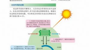 苏教版高一生物必修1（分子与细胞）电子课本光合作用的过程(第65页)