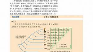 苏教版高一生物必修2（遗传与进化）电子课本分子进化的中性学说(第99页)
