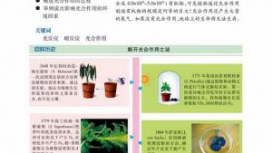 苏教版高一生物必修1（分子与细胞）电子课本第二节 光合作用(第62页)
