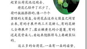 苏教版三年级语文下册电子课本12 荷花(第63页)