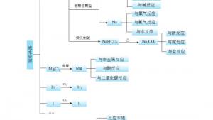 苏教版高一化学1电子课本专题二 综合复习(第59页)