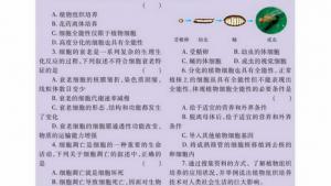 苏教版高一生物必修1（分子与细胞）电子课本细胞衰老和凋亡(第93页)