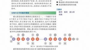 苏教版高一生物必修1（分子与细胞）电子课本糖类的种类和功能(第17页)