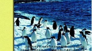 苏教版八年级生物下册(旧版)电子课本-苏教版初二生物下册(旧版)电子课本第22章 丰富多彩的生物世界(第20页)