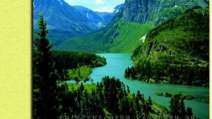 苏教版七年级生物上册(旧版)电子课本-苏教版初一生物上册(旧版)电子课本第7章 绿色植物在生物圈中的作用(第98页)