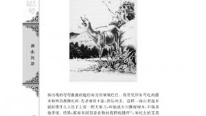 苏教版高一语文必修一电子课本像山那样思考/[美]奥尔多利奥波德/(第92页)