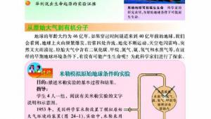 苏教版八年级生物下册(旧版)电子课本-苏教版初二生物下册(旧版)电子课本第一节 生命的诞生(第64页)