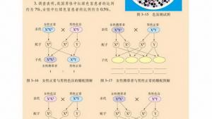 苏教版高一生物必修2（遗传与进化）电子课本性别决定和伴性遗传(第39页)
