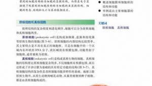苏教版高一生物必修1（分子与细胞）电子课本原核细胞和真核细胞(第35页)