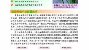 苏教版八年级生物下册(旧版)电子课本-苏教版初二生物下册(旧版)电子课本第二节 生态系统中的能量流动和物质循环(第91页)