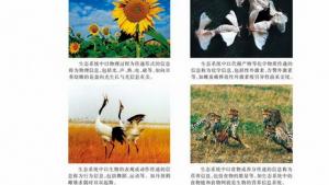 苏教版高二生物必修3（稳定与环境）电子课本生态系统中的信息传递(第88页)