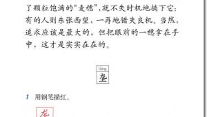 苏教版六年级语文下册电子课本16、最大的麦穗(第84页)