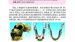苏教版八年级生物下册(旧版)电子课本-苏教版初二生物下册(旧版)电子课本第四节 人类的起源和进化(第80页)