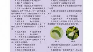 苏教版高二生物必修3（稳定与环境）电子课本动物激素在生产中的应用(第40页)