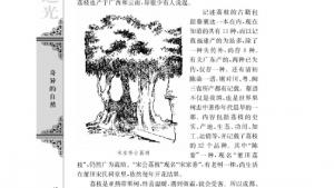 苏教版高三语文必修五电子课本南州六月荔枝丹(第18页)