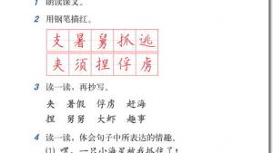 苏教版三年级语文下册电子课本11 赶海(第62页)