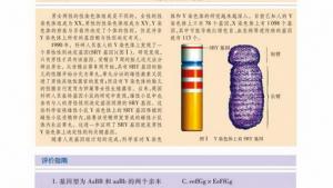 苏教版高一生物必修2（遗传与进化）电子课本性别决定和伴性遗传(第40页)