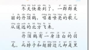 苏教版二年级语文上册电子课本20 美丽的丹顶鹤(第122页)