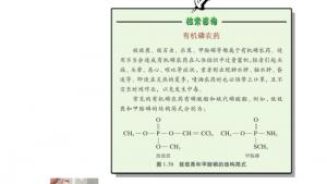 苏教版高二化学与生活电子课本第四单元 化学品的安全使用(第34页)