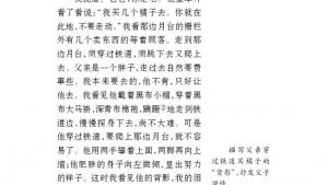 苏教版八年级语文上册电子课本,苏教版初二语文上册电子课本十一 背影(第94页)