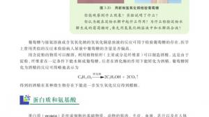 苏教版高一化学2电子课本第二单元 食品中的有机化合物(第76页)