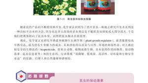 苏教版高二化学与技术电子课本第四单元 化学农药的发展(第100页)