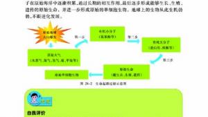 苏教版八年级生物下册(旧版)电子课本-苏教版初二生物下册(旧版)电子课本第一节 生命的诞生(第65页)