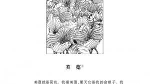 苏教版七年级语文下册电子课本-苏教版初一语文下册电子课本语文实践活动 网上读写与交流(第226页)