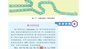 苏教版高三化学-有机化学基础电子课本第二单元 氨基酸 蛋白(第105页)