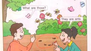 苏教版二年级英语2A电子课本Unit 6 a picnic(第20页)