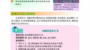 苏教版八年级生物上册(旧版)电子课本-苏教版初二生物上册(旧版)电子课本第一节 动物行为的主要类型(第60页)