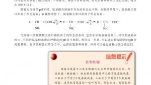 苏教版高三化学-有机化学基础电子课本第二单元 氨基酸 蛋白(第102页)