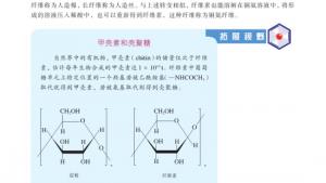 苏教版高三化学-有机化学基础电子课本第一单元 糖类 油脂(第95页)