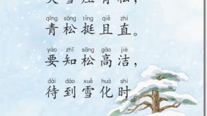 苏教版二年级语文上册电子课本18 青松(第116页)