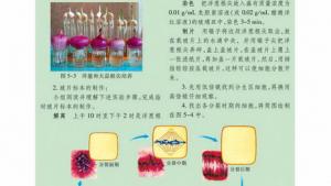 苏教版高一生物必修1（分子与细胞）电子课本细胞周期与有丝分裂(第82页)