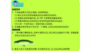苏教版八年级生物上册(旧版)电子课本-苏教版初二生物上册(旧版)电子课本第二节 动物运动的能量来源(第57页)