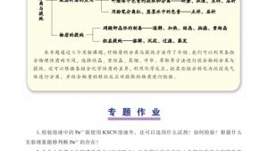 苏教版高三化学-实验化学电子课本拓展课题1-4 粗盐提纯(第18页)