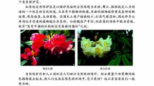 苏教版八年级生物下册(旧版)电子课本-苏教版初二生物下册(旧版)电子课本第二节 五彩缤纷的植物世界(第33页)