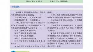 苏教版高一生物必修2（遗传与进化）电子课本提取DNA(第57页)
